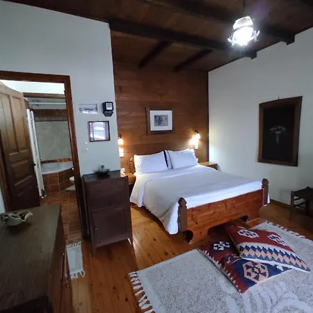Xenonas Brizi Guest house