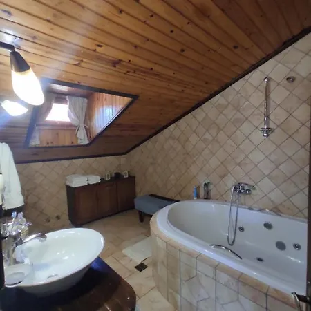 Xenonas Brizi 3* Elati (Trikala)