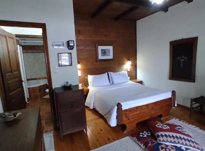 Xenonas Brizi 게스트하우스