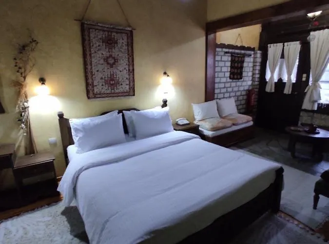 Xenonas Brizi 게스트하우스