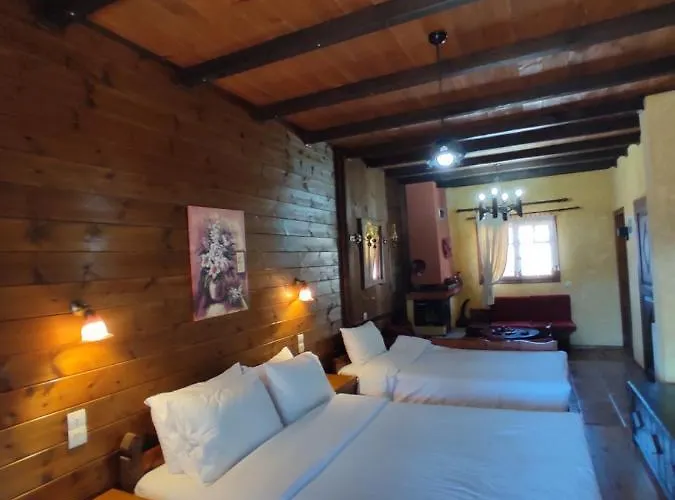 Xenonas Brizi Eláti